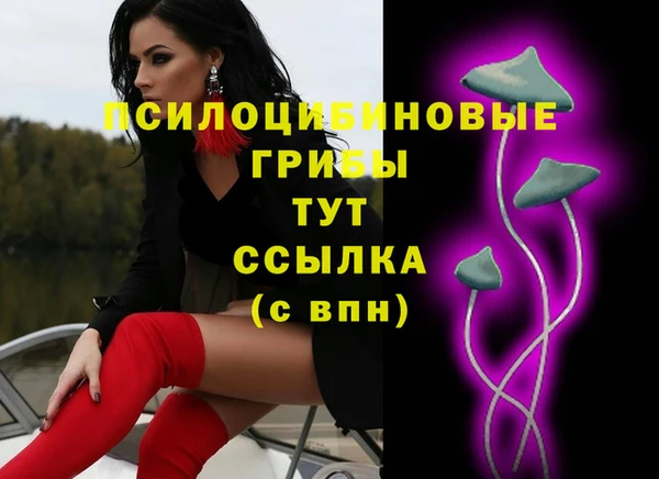 сатива Беломорск
