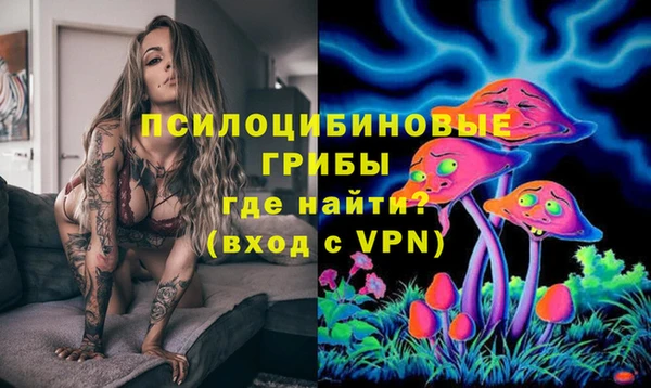 марихуана Белокуриха