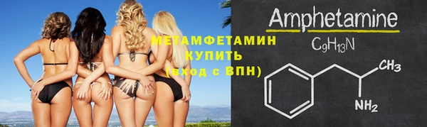 сатива Беломорск
