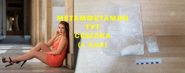 сатива Беломорск