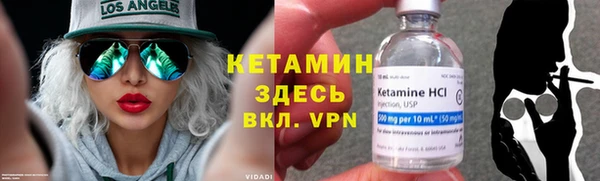 сатива Беломорск