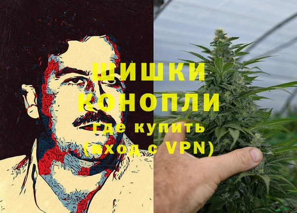 сатива Беломорск