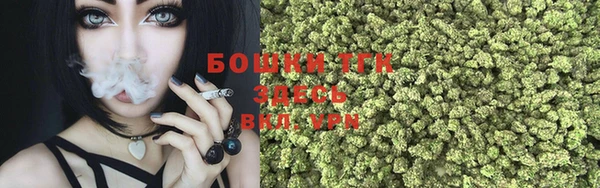 сатива Беломорск