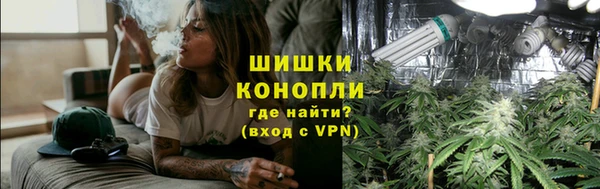 сатива Беломорск