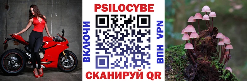 Псилоцибиновые грибы прущие грибы  Семёнов 